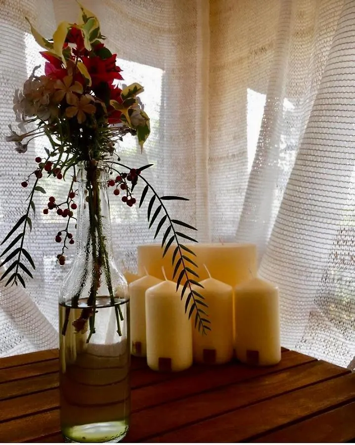Apartamento Giardino Dell'Impossibile Di Antonino Campo Favignana Italia