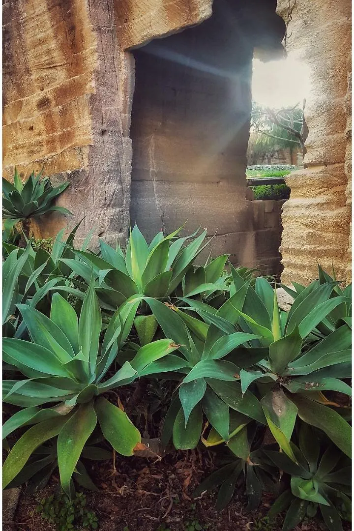 Apartamento Giardino Dell'Impossibile Di Antonino Campo Favignana