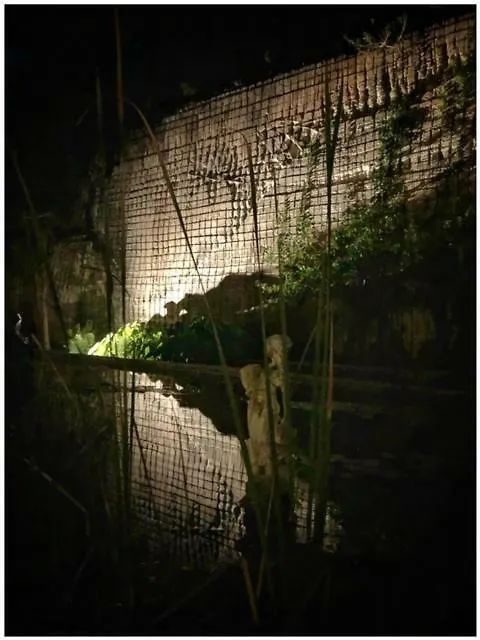 Giardino Dell'Impossibile Di Antonino Campo Apartment Favignana